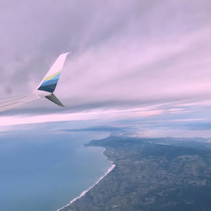 Meet your Posher, Syona